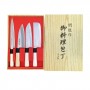Set knives, japanese seki ryu sashimi-deba-santoku-nakiri - 4 pcs Seki Ryu JAK-99362790 - www.domechan.com - Japanese Food