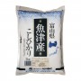 Japanese rice toyama koshihikari - 2 kg Hakodate Beikoku HAK-67168711 - www.domechan.com - Japanese Food