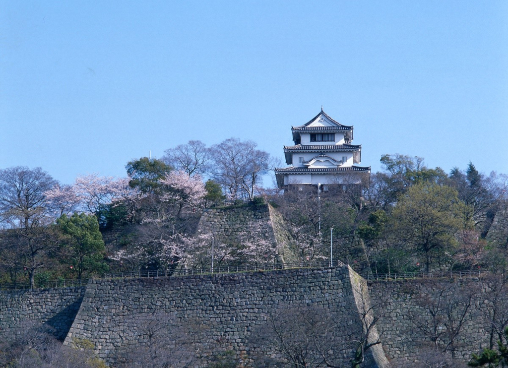 Castello Marugame